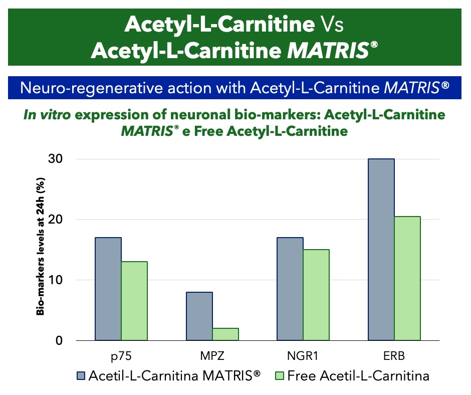 Matix-acetil_2_eng
